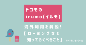 irumoの海外利用を解説