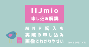 IIJmioへのMNP転入での申し込みを解説